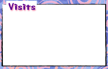 visits info